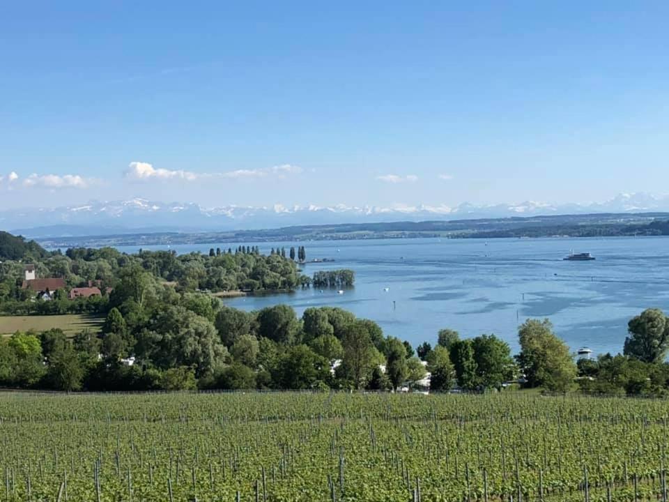 Ferienwohnung "Schmuckstueck Am Tor" Meersburg Esterno foto